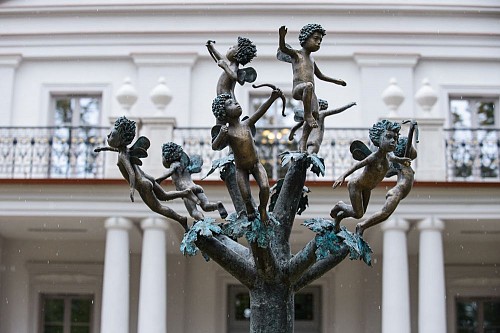 ANGELŲ MEDIS